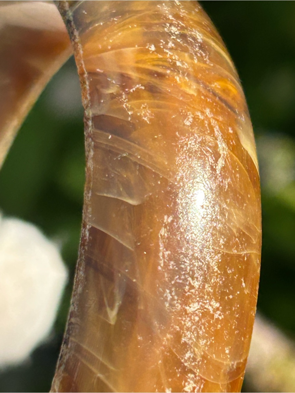 Vintage Organic Horn Bangle Wide Live Edge Feather Pattern⁠